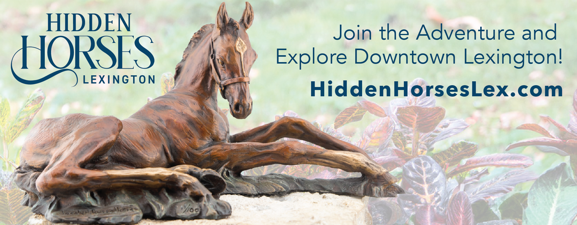 Hidden Horses